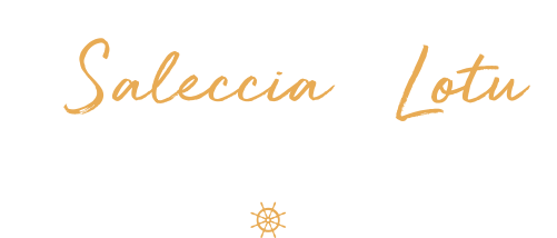 Titre de la page d'acceuil disant venez découvrir les plages de sable blanc de Saleccia, du Lotu et plus encore ! Un gouvernaille stylisé orange orne le titre.